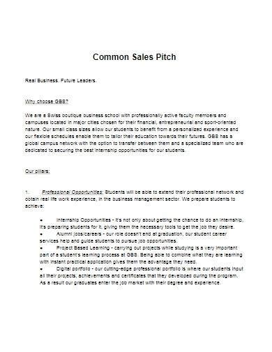 sales pitch samples  google  powepoint flowcharts