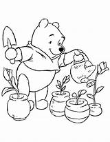 Pooh Winnie Colorir Regando Pflanze Jardim Watering Tudodesenhos sketch template
