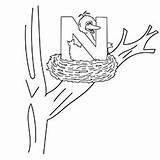 Bird Big Coloring Pages Printable Scary Ig Colorful Little sketch template