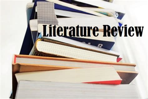 write  effective literature review daily post nigeria