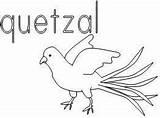 Quetzal Designlooter 16kb sketch template
