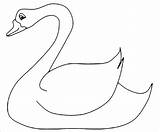 Swan Coloring Neck Long Kindergarten Pages Very Pages2color Coloringbay Animals sketch template