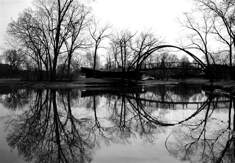 beautiful black  white nature photography nice pics gallery