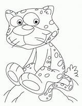 Coloring Pages Cheetah Baby Cubs Privacy Policy Contact sketch template