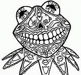 Skull Coloring Sugar Pages Kermit Muertos Dia Los Printable Simple Skulls Animal Dead Print Clipart Color Drawing Clipartbest Female El sketch template