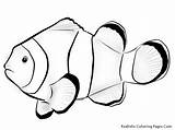 Fish Coloring Pages Nemo Clown Tropical Printable Drawing Realistic Outline Ocean Clownfish Color Kids Flying Exotic Parrot Sea Patterns Blank sketch template