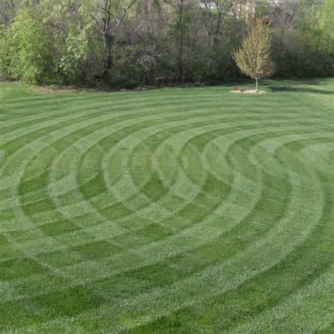 pin  lawn striping