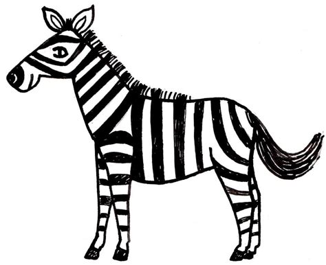 zebra pictures  kids   zebra pictures  kids png