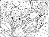 Tintenfisch Tiere Malvorlage Malvorlagen sketch template