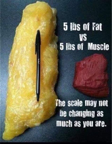 does the scale tell you that you aren t making progress be broncho fit