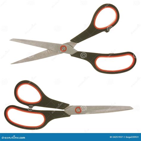scissors royalty  stock photography image