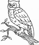 Owl Drawing Coloring Outline Snowy Cartoon Clipart Printable Line Popular Getdrawings Library sketch template