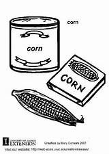 Coloring Corn Large Edupics sketch template
