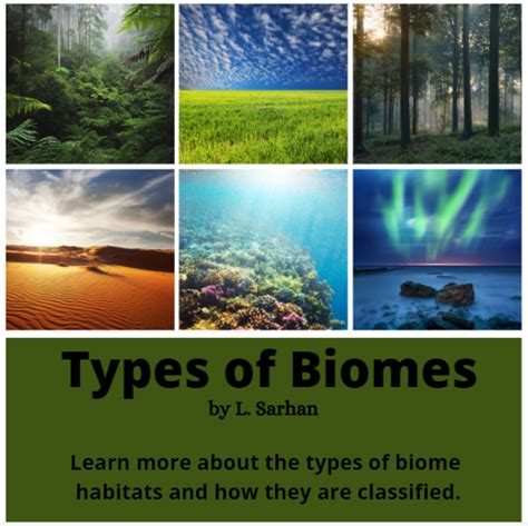 types  biome ecosystems hubpages