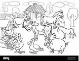 Allevamento Bianco Rurale Scena Grosso Bestiame Immagine sketch template