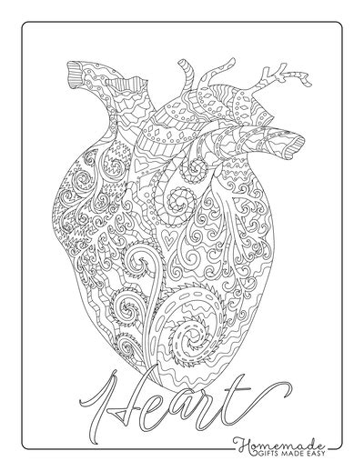 heart coloring pages  kids adults