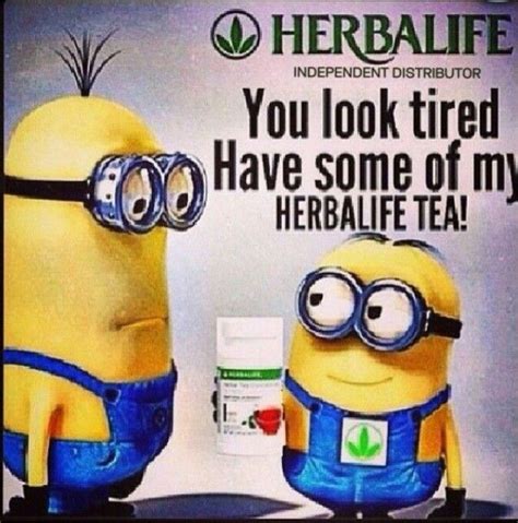 pin by katie horton on fitness and health herbalife