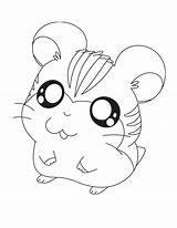 Coloring Chinchilla Pages Color Printable Animals sketch template