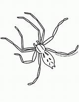 Creepy Spiders Spider Carrots Coloringhome sketch template