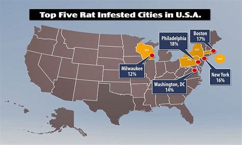 Philadelphia Is The Most Rat Infested City In The Us Daily Mail Online
