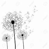 Dandelion Coloring Pages Getcolorings Printable Color Amazing sketch template