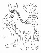Donkey Esel Ane Donkeys Ausmalbilder Heureux Superbe Palm Malvorlagen Kleuters Ezels Smartest Bestcoloringpages Mewarnai sketch template