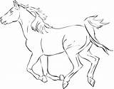 Horse Coloring Pages Herd Getcolorings sketch template