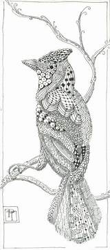 Zentangle Indulgy Animals Colouring Animal Bird Drawings sketch template
