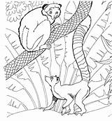 Zoo Coloring Pages Coloriage Animal Imprimer Color Dessin Colorier Le Sheets Kidprintables Return Main Gif Back Animals sketch template