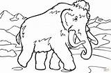 Coloring Mammoth Pages Walking Drawing sketch template