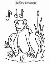 Bullfrog Serenade Coloring Pages sketch template