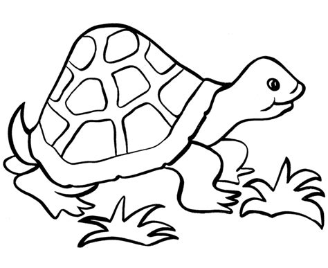 simple coloring pages  preschoolers coloring home