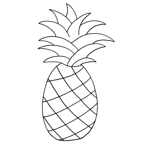 pineapple outline clip art   cliparts  images