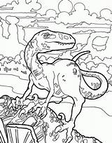 Velociraptor Dino Kolorowanki Raptor Dinosaurs Colorare Dinosauro Disegni Dzieci Dinosauri Bestcoloringpagesforkids Deinonychus Montagna Scalando sketch template
