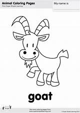 Coloring Goat Pages Animal Super Farm Simple Worksheets Animals Learning Kids Flashcard Supersimple Book Songs Printables Choose Board Supersimplelearning sketch template