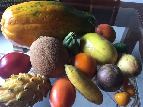 exotic tropical fruits  colombia  update