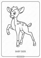 Deer Coloringoo sketch template