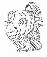 Thanksgiving Turkey Coloring Lineart Realistic Canada Color sketch template