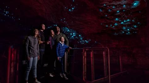 glow worm caves te anau     zealand
