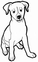 Russell Terrier Lineart Westbrook sketch template