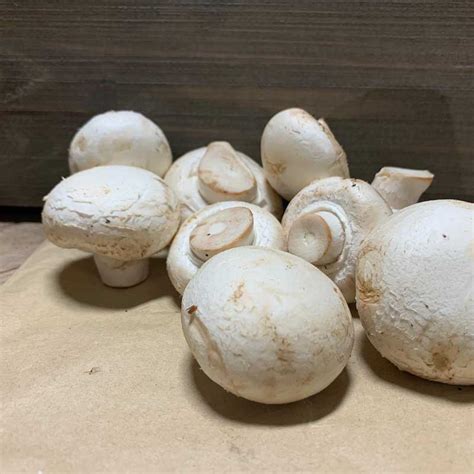 cup mushrooms   kg