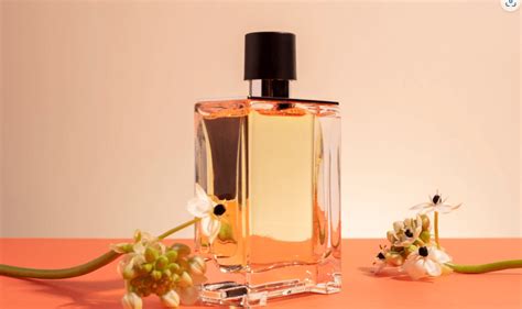 Menarik Inilah Peluang Bisnis Parfum Merek Sendiri Sekawan Cosmetics