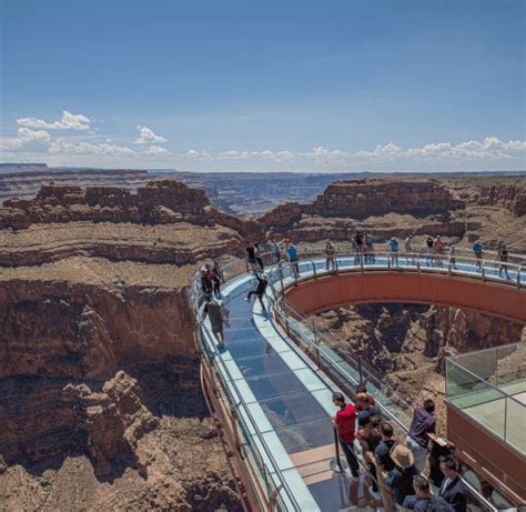dogs allowed  grand canyon skywalk