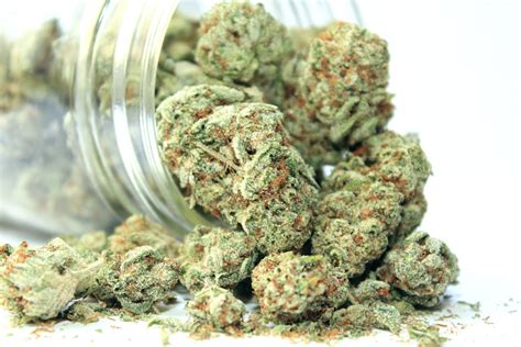 marijuana strains  health  activities medcare farms