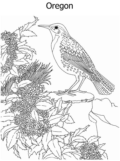 state emblems coloring pages  coloring sheets flower coloring