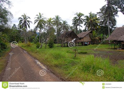 Village In Papua New Guinea Stock Image Image Of Road