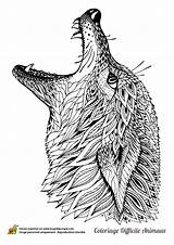 Coloring Adult Pages Loup Colouring Coloriage Dessin Wolf Colorier Hugolescargot Zentangle Mandala Head Djur sketch template