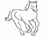 Kuda Mewarnai Animasi Berlari Sketsa Binatang Lembar Koleksi Lengkap sketch template