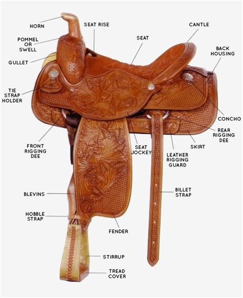 interactive western saddle parts diagram horses pinterest western saddles diagram  saddles