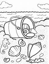 Coloring Shells Sea Pages Shell Seashell Conch Line Drawing Printable Color Getdrawings Getcolorings sketch template